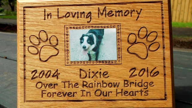 Remembering Our Furry Friends: Honoring Pet Memories