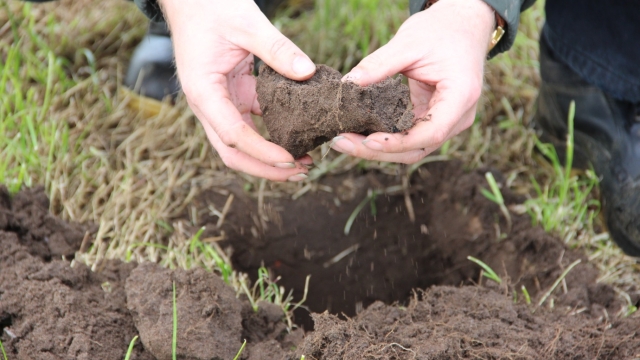 The Green Thumb’s Guide: Unleashing the Power of Fertilizers for your Garden!