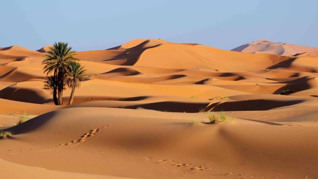 The Secrets Unveiled: Exploring the Enigmatic Sahara Desert