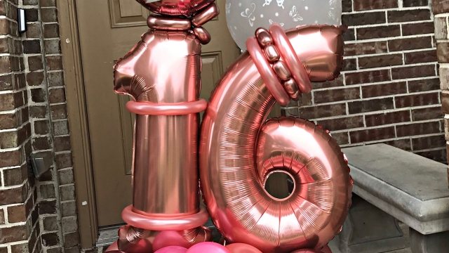 Bursting with Creativity: Unveiling the Artistry of a Balloon Designer