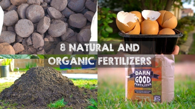 The Secret Recipe to Nutrient-Rich Gardens: Unleashing the Power of Organic Soil and Fertilizer