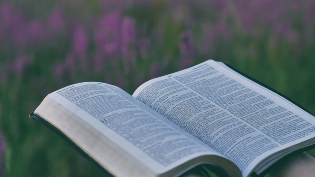 Unraveling the Sacred Scriptures: A Journey through Bible Study