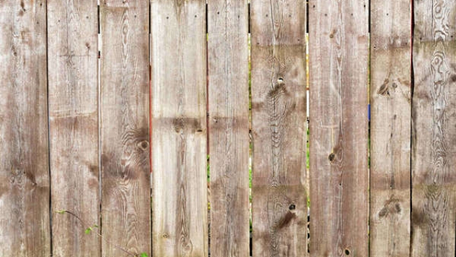 Fencing 101: Comparing Chain Link vs. Wood Fences