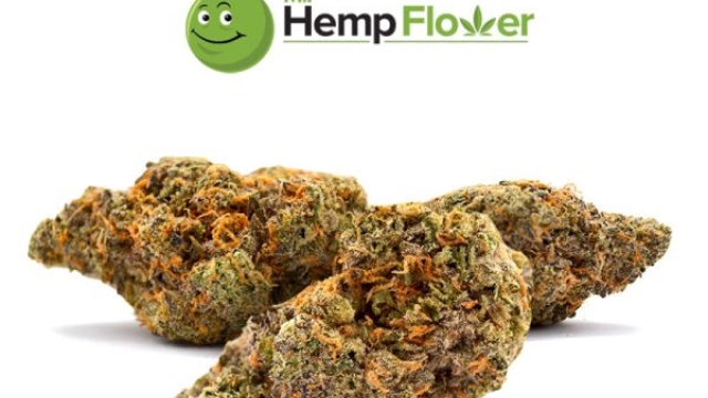 Blossoming Benefits of THCA Flower: A Full Guide