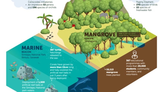 The Symphony of Biodiversity: Exploring the Threads of Ecology