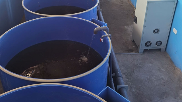 Revolutionizing the Blue: The Future of Aquaculture Technology