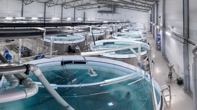 Revolutionizing the Waves: The Future of Aquaculture Technology