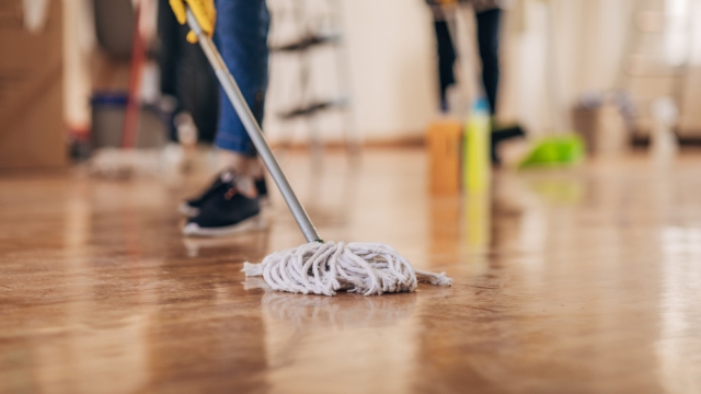 Sparkle & Shine: Transform Your Space with Professional Cleaning Services